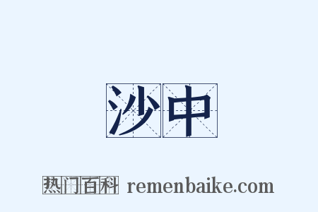 沙中是什么意思的图片